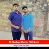 About M Rohu Mero Dil Rov Song